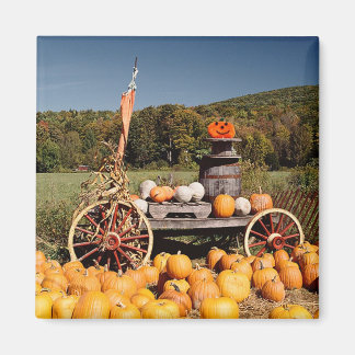 Imán de la granja de calabaza de otoño