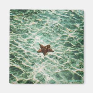 Imán de la isla de las estrellas de mar