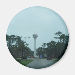 Imán de la isla del delfín