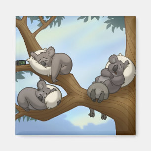 Imán de la koala el dormir