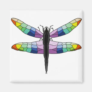 Imán de la libélula arcoiris