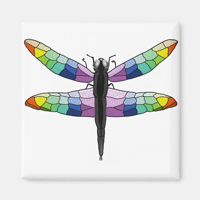 Imán de la libélula arcoiris (Frente)