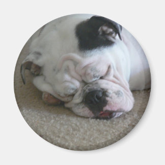 Imán de la libertad