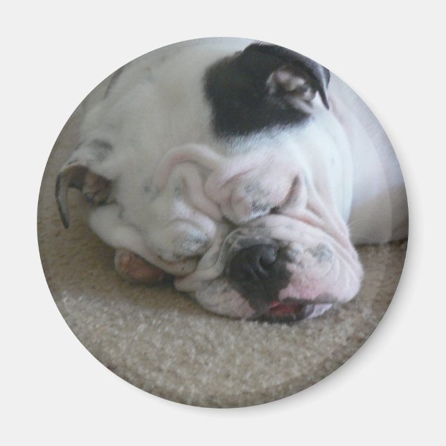 Imán de la libertad (Frente)