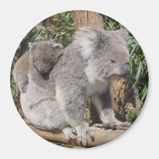 Imán de la madre y el niño