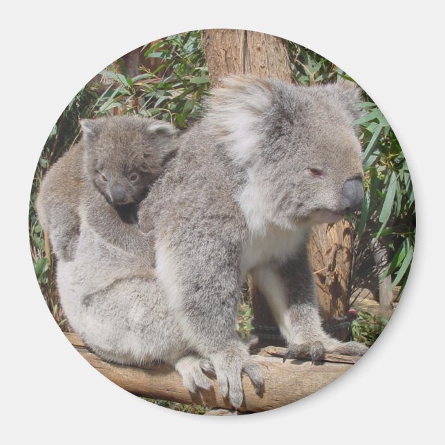 Imán de la madre y el niño (Frente)