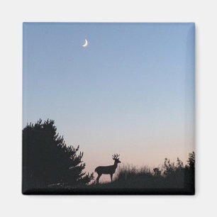 Imán de la magia de la salida de la luna