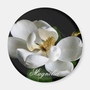 Imán de la magnolia