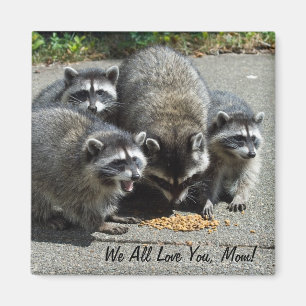 Imán de la mamá de la familia del mapache