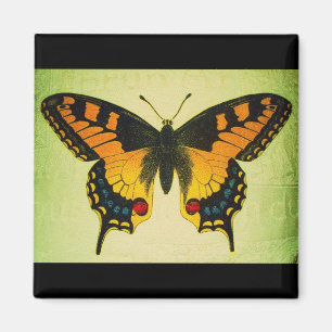 imán de la mariposa