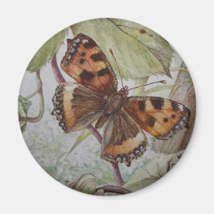Imán de la mariposa de concha