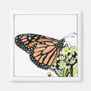 Imán de la mariposa de monarca