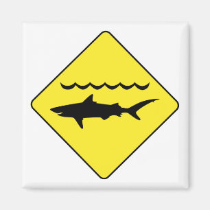 Imán de la muestra de los "tiburones de cuidado"