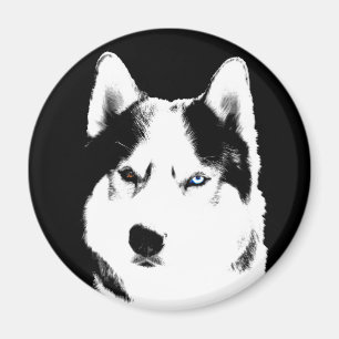 Imán de la Nevera Husky Alaskan Sled Dog Magnet /