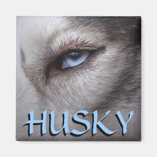 Imán de la Nevera Husky Alaskan Sled Dog Magnet /