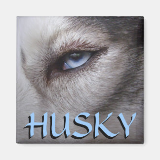 Imán de la Nevera Husky Alaskan Sled Dog Magnet / 