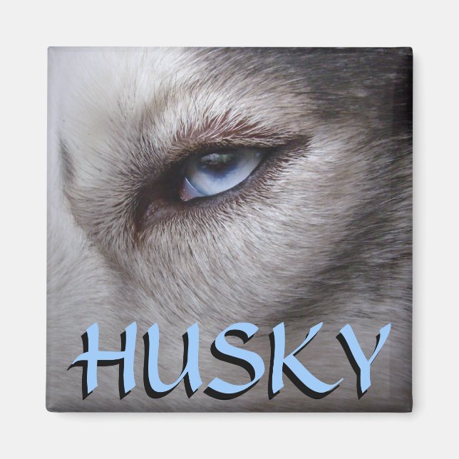 Imán de la Nevera Husky Alaskan Sled Dog Magnet /  (Frente)