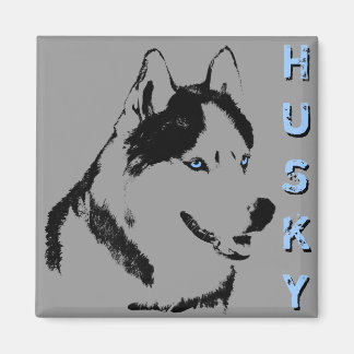Imán de la Nevera Husky Alaskan Sled Dog Magnet / 