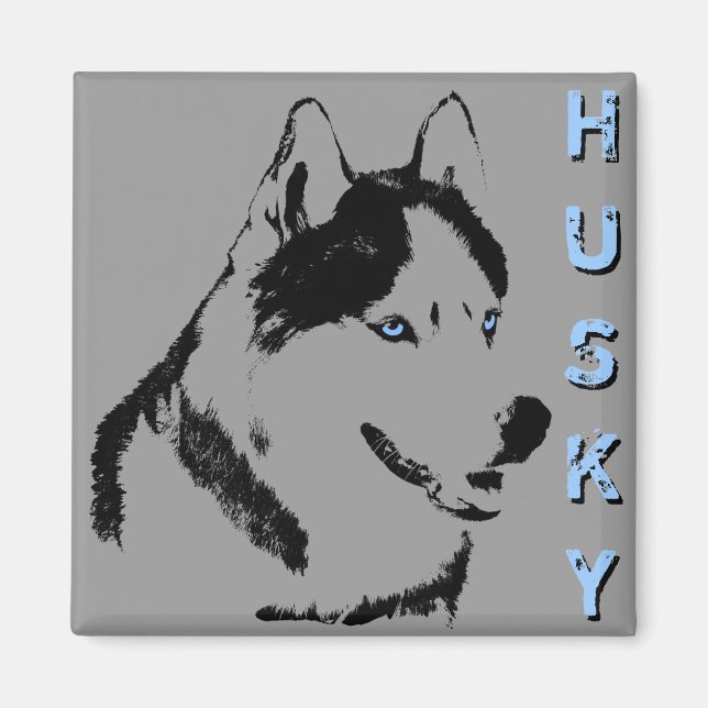 Imán de la Nevera Husky Alaskan Sled Dog Magnet /  (Frente)