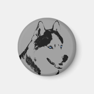 Imán de la Nevera Husky Alaskan Sled Dog Magnet /