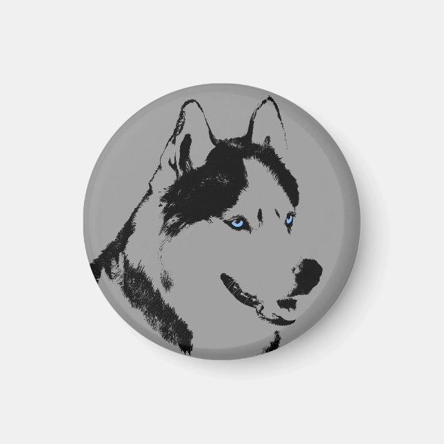 Imán de la Nevera Husky Alaskan Sled Dog Magnet /  (Frente)