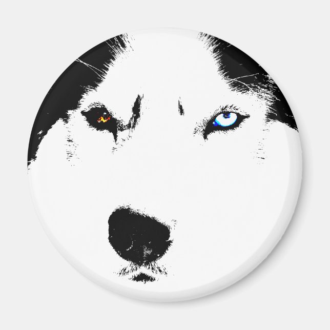 Imán de la Nevera Husky Alaskan Sled Dog Magnet /  (Frente)
