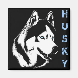 Imán de la Nevera Husky Alaskan Sled Dog Magnet / 