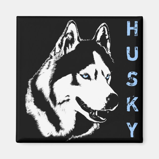 Imán de la Nevera Husky Alaskan Sled Dog Magnet /  (Frente)