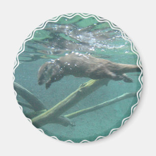 Imán de la nutria de río