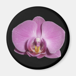 imán de la orquídea