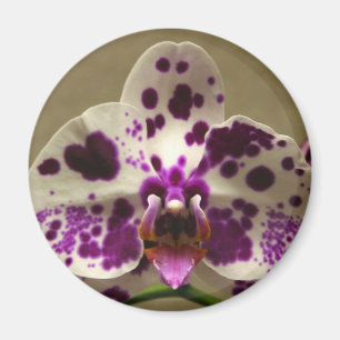 Imán de la orquídea
