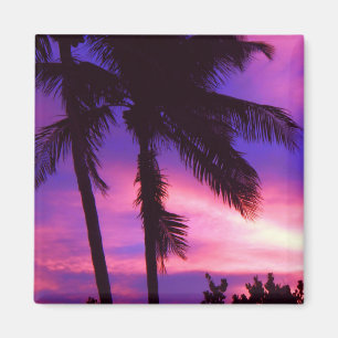 Imán de la Palm Sunset en Florida