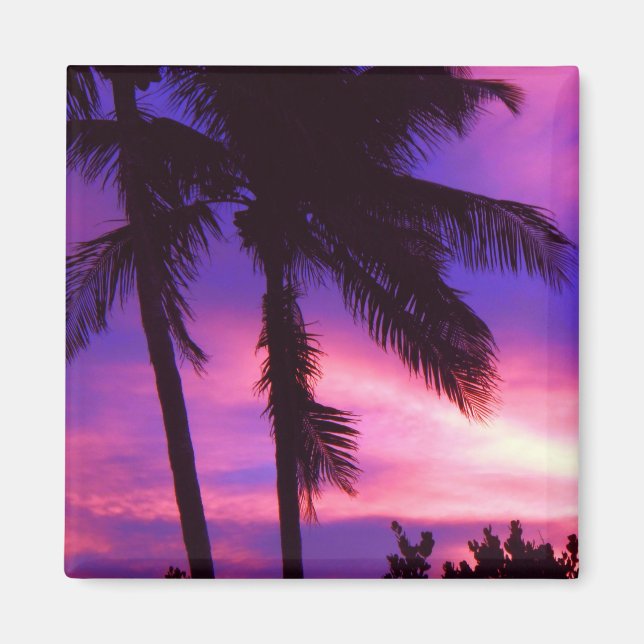 Imán de la Palm Sunset en Florida (Frente)