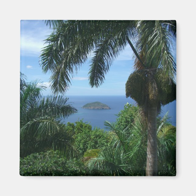 Imán de la palma (Frente)