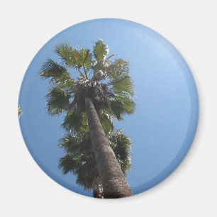 Imán de la palmera