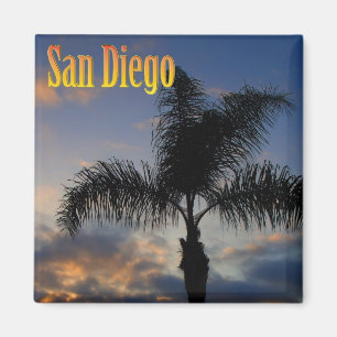 Imán de la palmera de San Diego