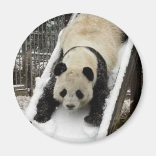 imán de la panda