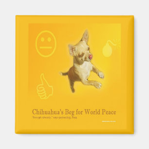 IMÁN DE LA PAZ DE LA CHIHUAHUA