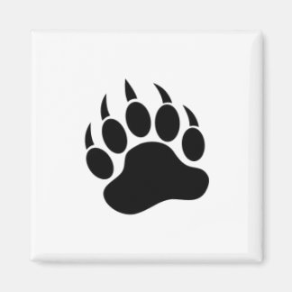 imán de la pepita de oso