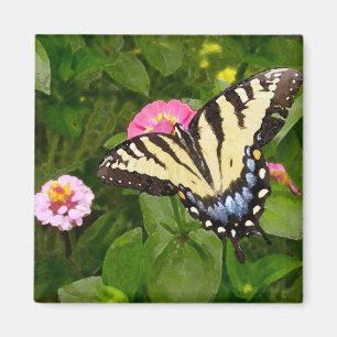 Imán de la pintura de la mariposa