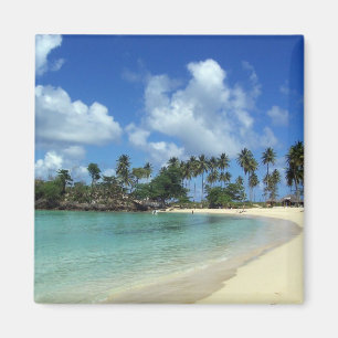 Imán de la playa de la República Dominicana