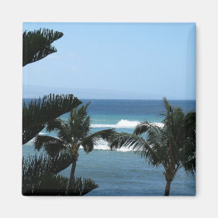 Imán de la playa de Maui