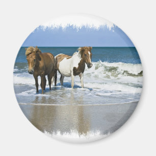 Imán de la playa del caballo