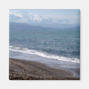 Imán de la playa del invierno