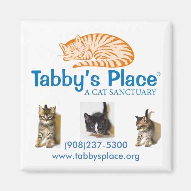 Imán de la plaza de Tabby (Frente)