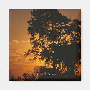 Imán de la puesta del sol de la sabana