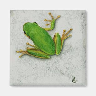 Imán de la rana verde