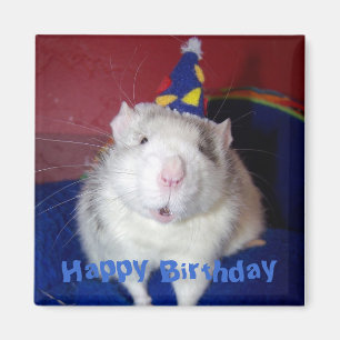 Imán de la rata del feliz cumpleaños
