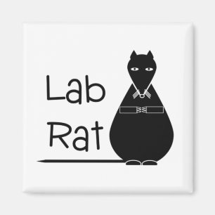 Imán de la rata del laboratorio