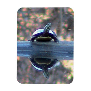 Imán de la reflexión de la tortuga (flexible)
